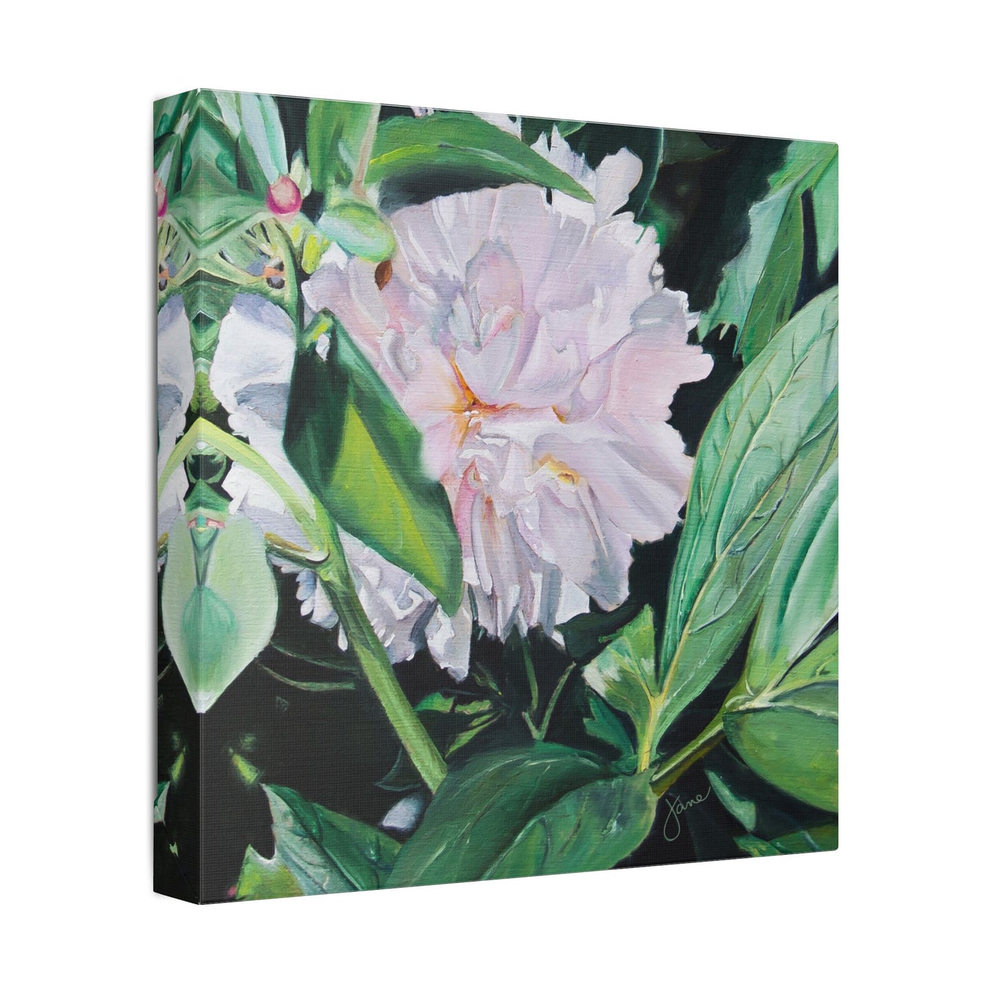 Classic Stretched Canvas, Shy Peone by Jane Autry