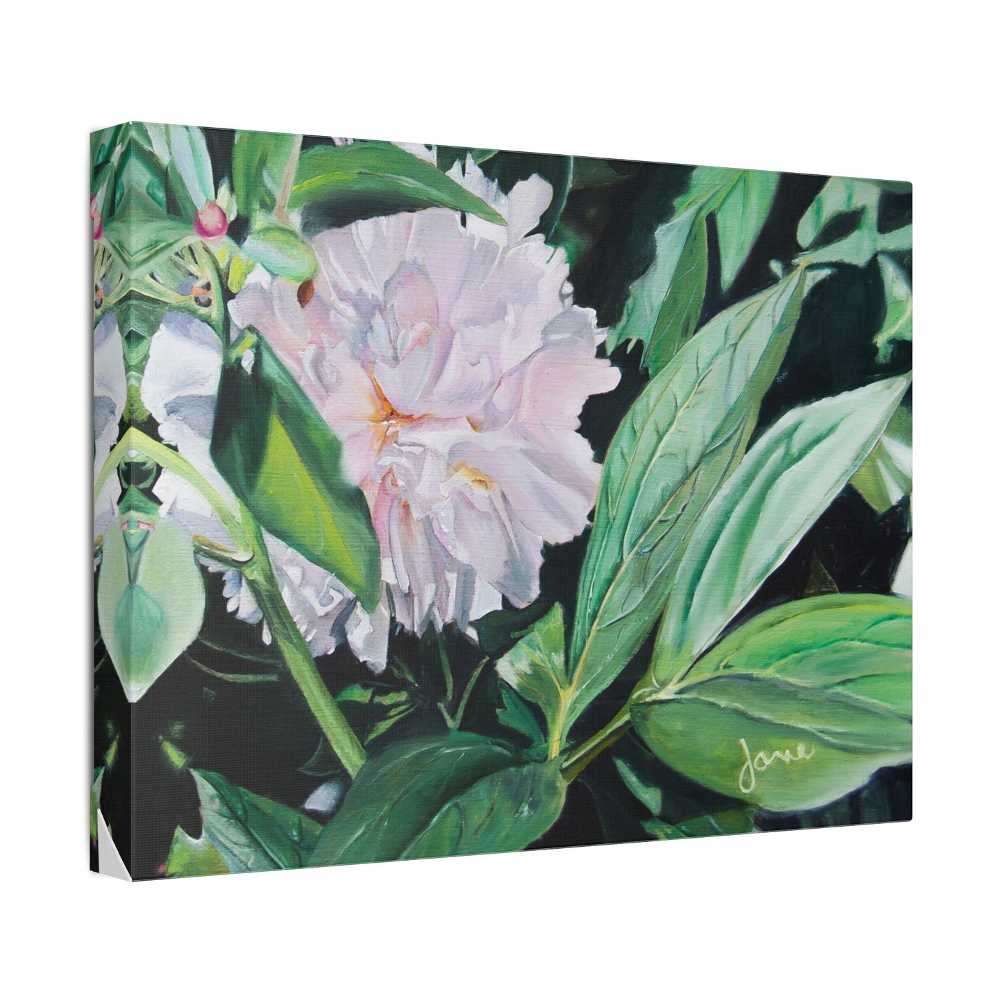 Classic Stretched Canvas, Shy Peone by Jane Autry
