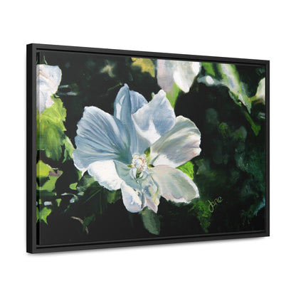Stretched Canvas Wrap in Wood Frame, White Rose of Sharon by Jane Autry