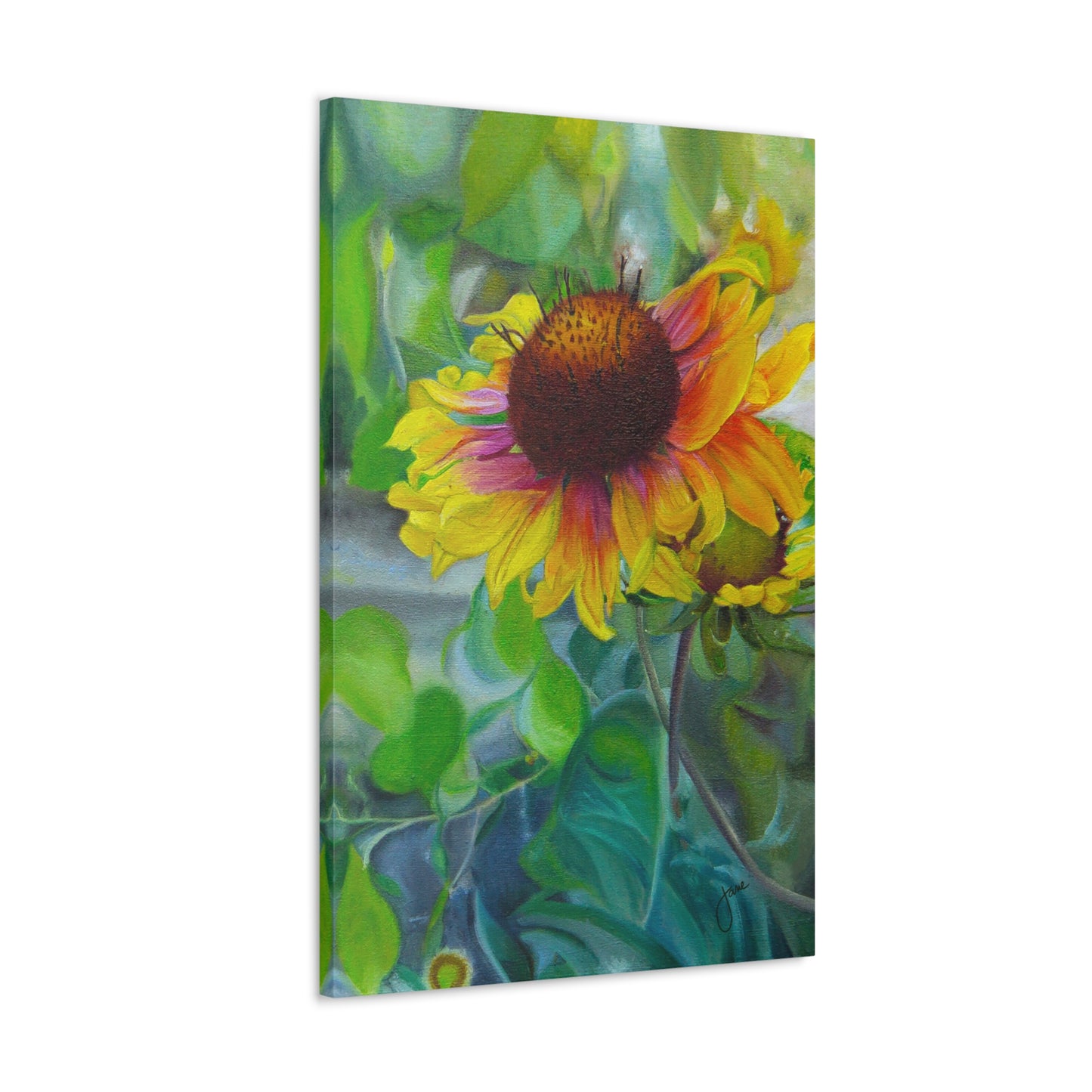 Indian Blanket Flower by Jane Autry, Canvas Gallery Wrap