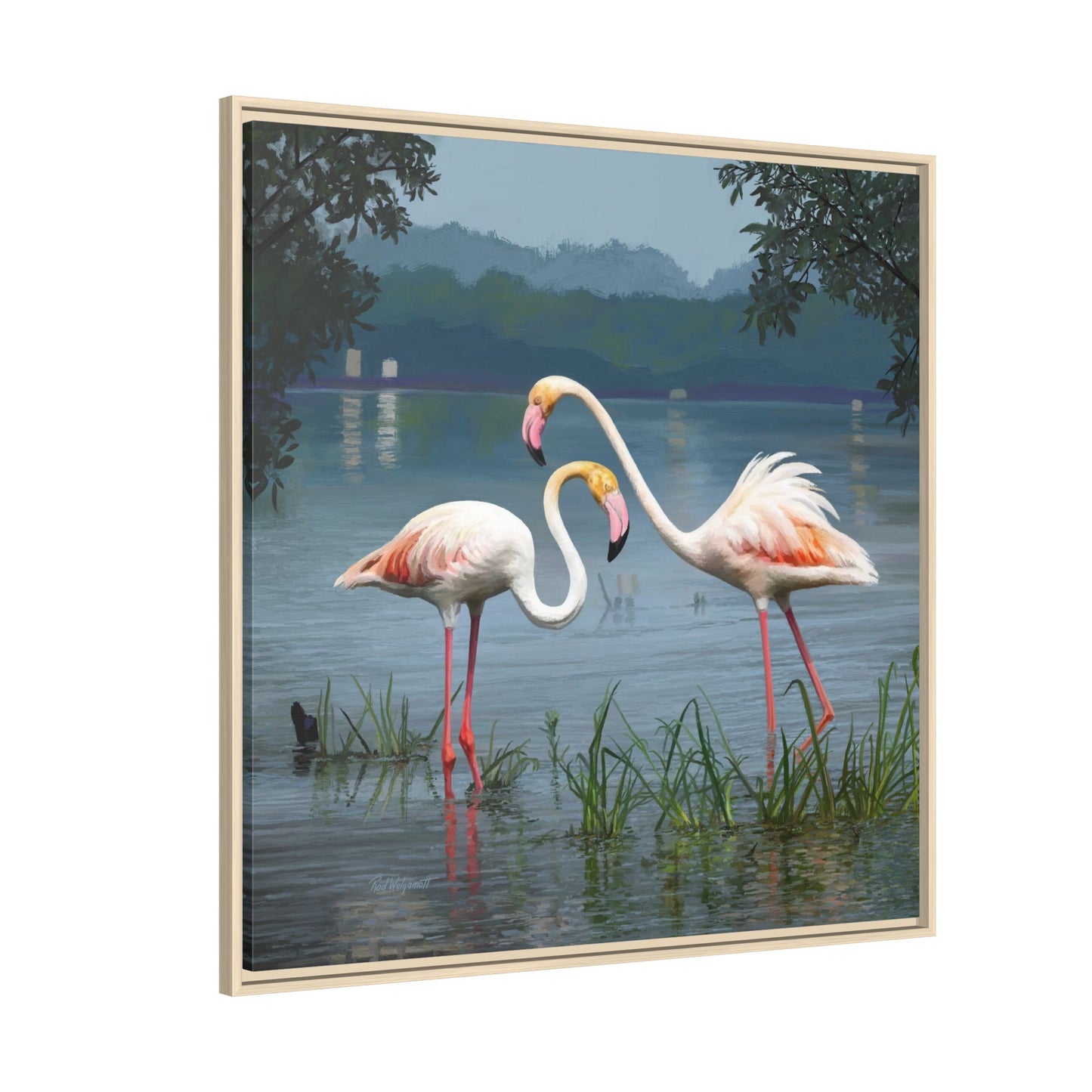 Framed Flamingo Canvas Art – Flamingo Dance by Rod Walgamott
