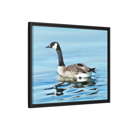 Canada Goose- Framed Matte Canvas Print