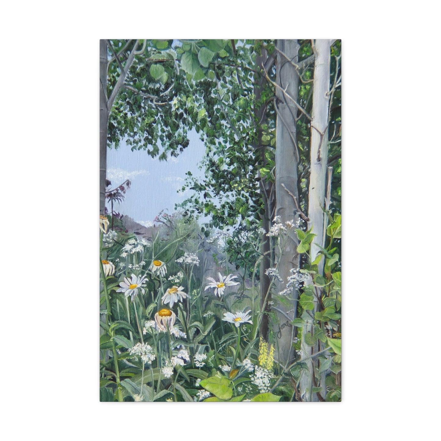 Quakies and Daisies by Jane Autry, Canvas Gallery Wrap