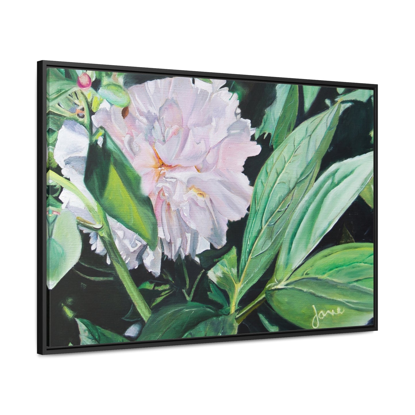 Stretched Canvas Wrap in Wood Frame, Shy Peone by Jane Autry
