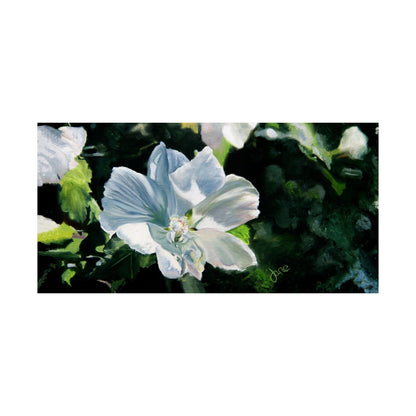 White Rose of Sharon, by Jane Autry--Premium Matte Print