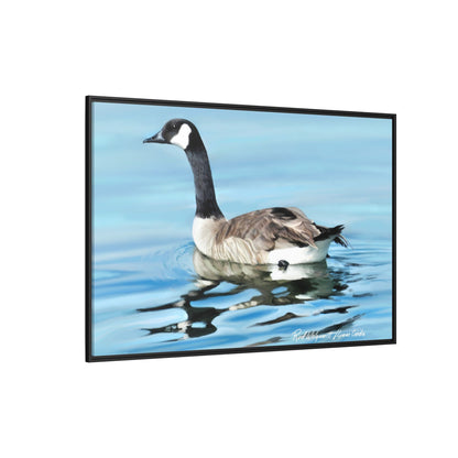 Canada Goose- Framed Matte Canvas Print