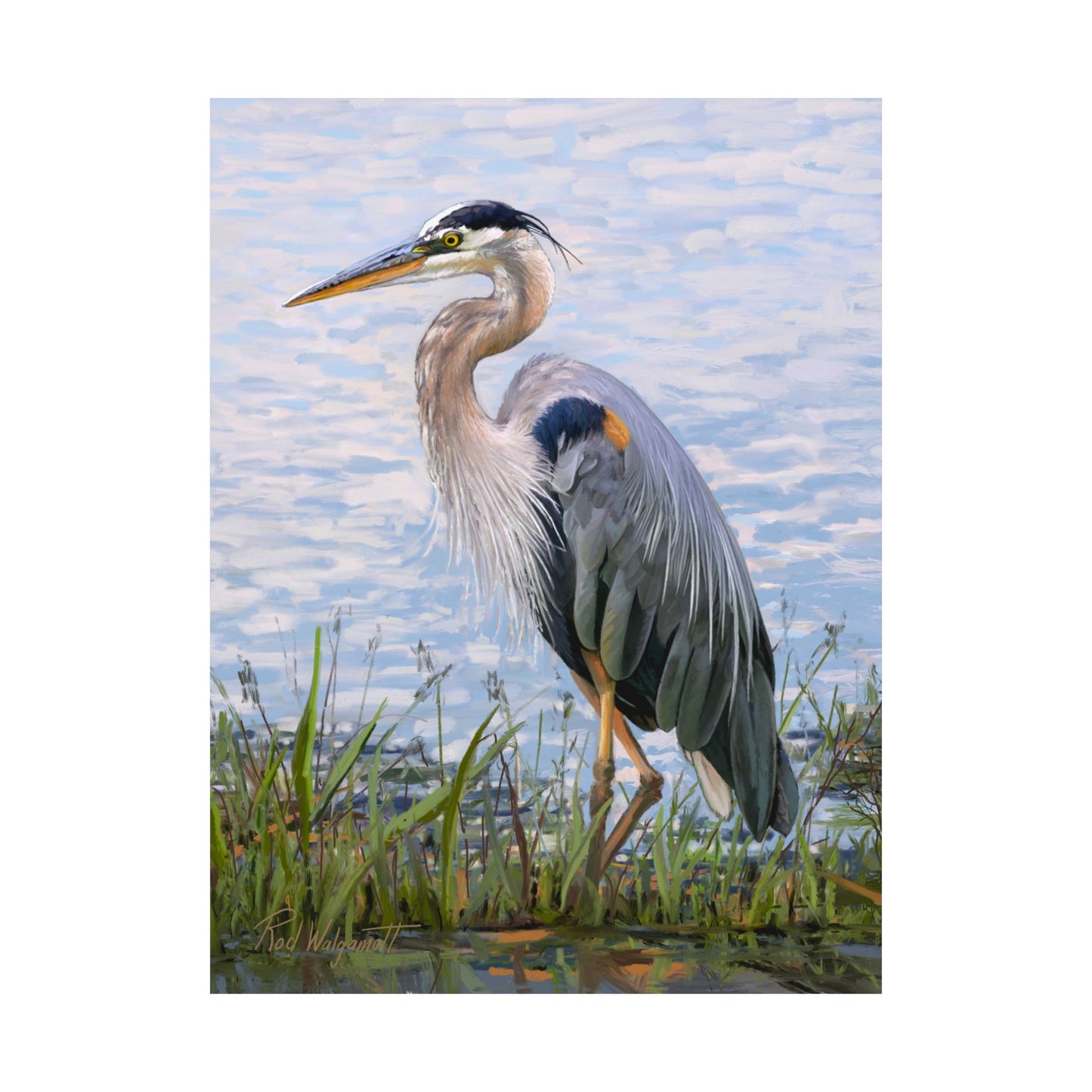 Premium Matte Print, Blue Heron at Stansbury Lake, by Rod Walgamott