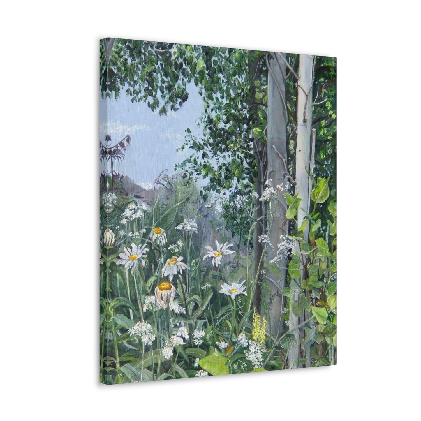 Quakies and Daisies by Jane Autry, Canvas Gallery Wrap
