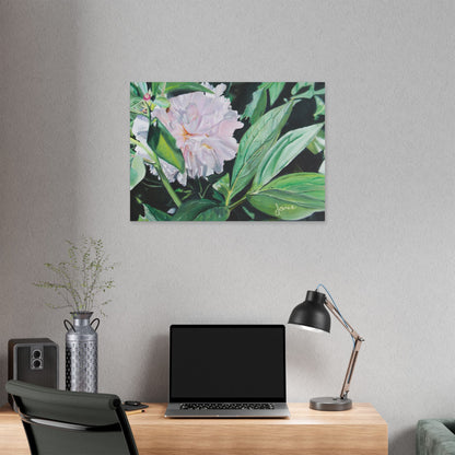 Classic Stretched Canvas, Shy Peone by Jane Autry