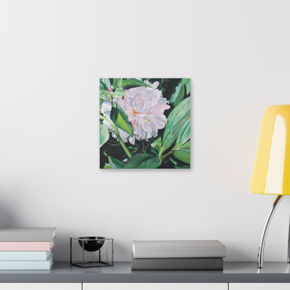 Classic Stretched Canvas, Shy Peone by Jane Autry