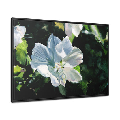 Stretched Canvas Wrap in Wood Frame, White Rose of Sharon by Jane Autry
