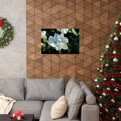 White Rose of Sharon, by Jane Autry--Premium Matte Print