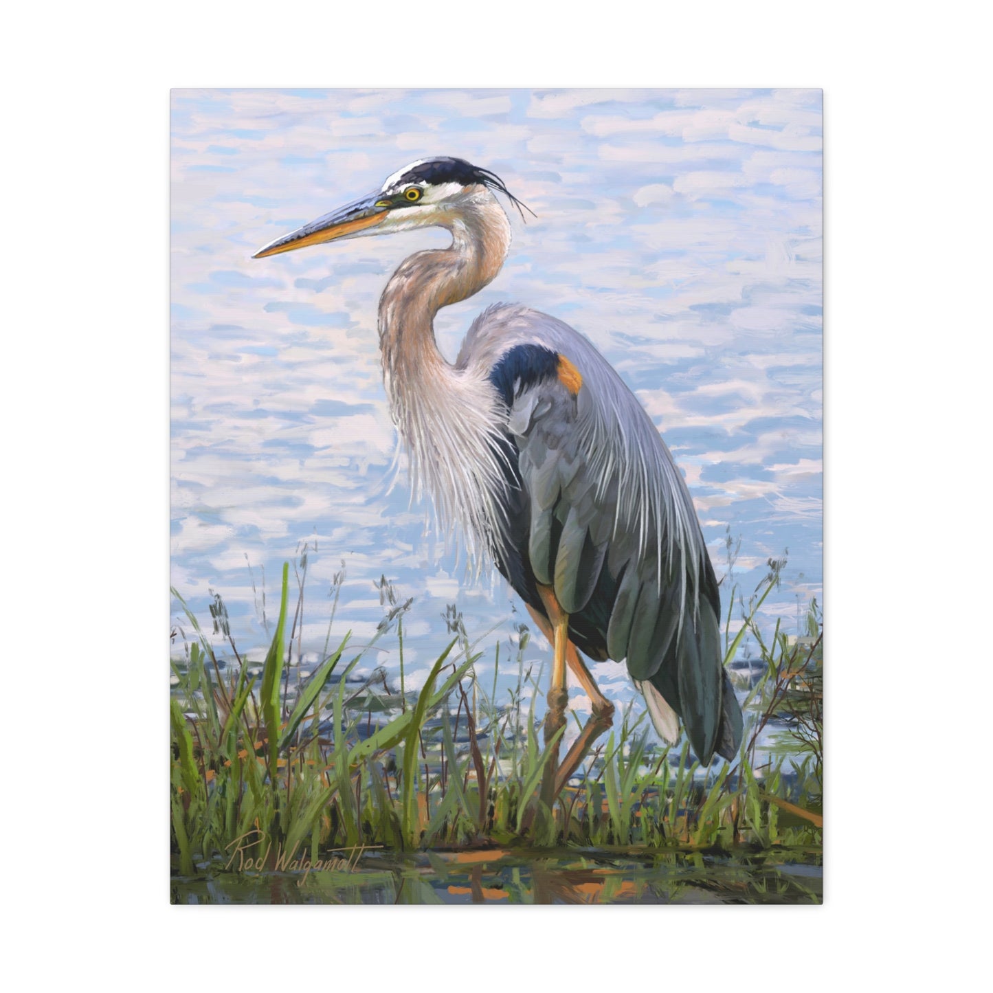 Gallery Wrap Canvas, Blue Heron at Stansbury Lake by Rod Walgamott