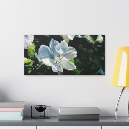 Classic Stretched Canvas, White Rose of Sharon by Jane Autry