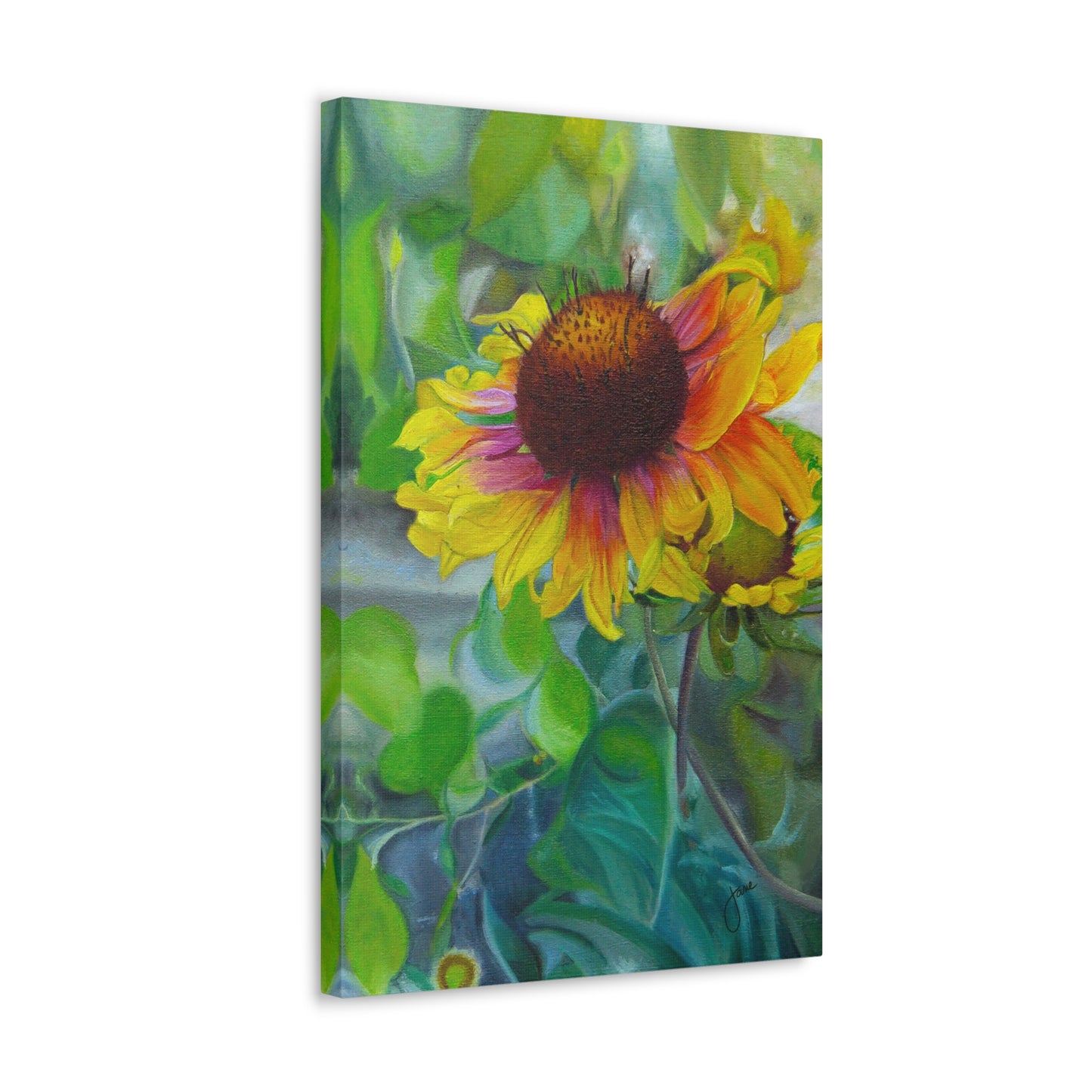 Indian Blanket Flower by Jane Autry, Canvas Gallery Wrap