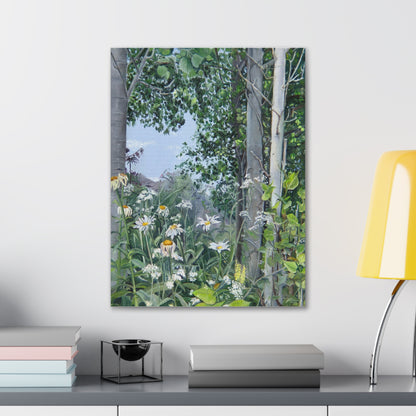 Quakies and Daisies by Jane Autry, Canvas Gallery Wrap