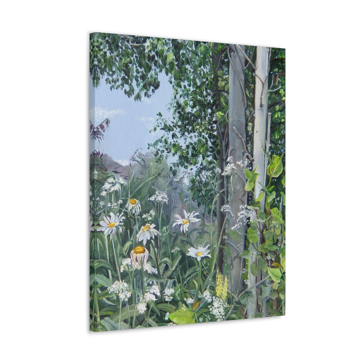 Quakies and Daisies by Jane Autry, Canvas Gallery Wrap
