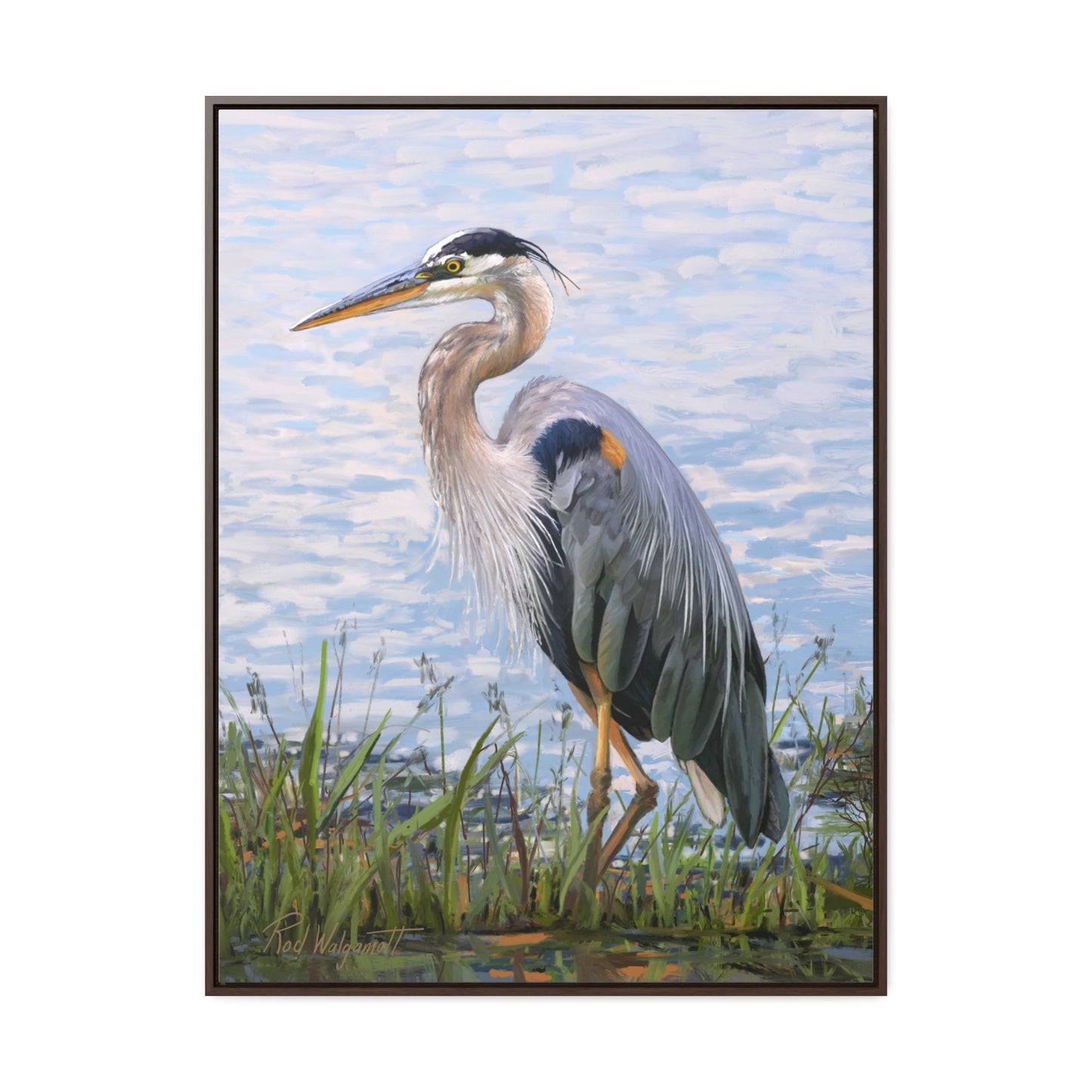 Framed canvas Wrap, Blue Heron at Stansbury Lake, by Rod Walgamott