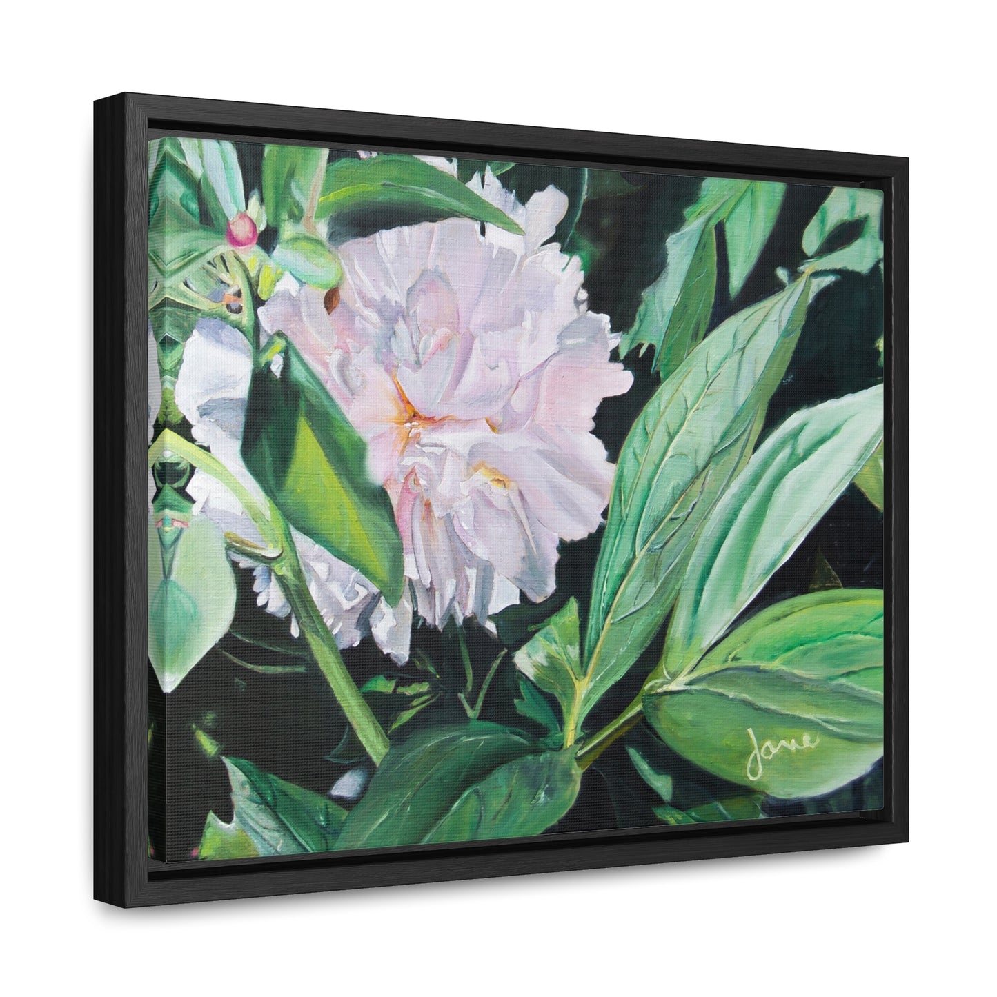 Stretched Canvas Wrap in Wood Frame, Shy Peone by Jane Autry