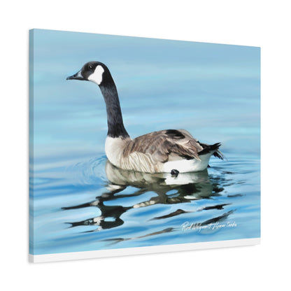 Canvas Gallery Wrap, Canada Goose on Stansbury Lake , by  Rod Walgamott