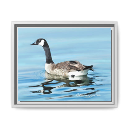 Canada Goose- Framed Matte Canvas Print