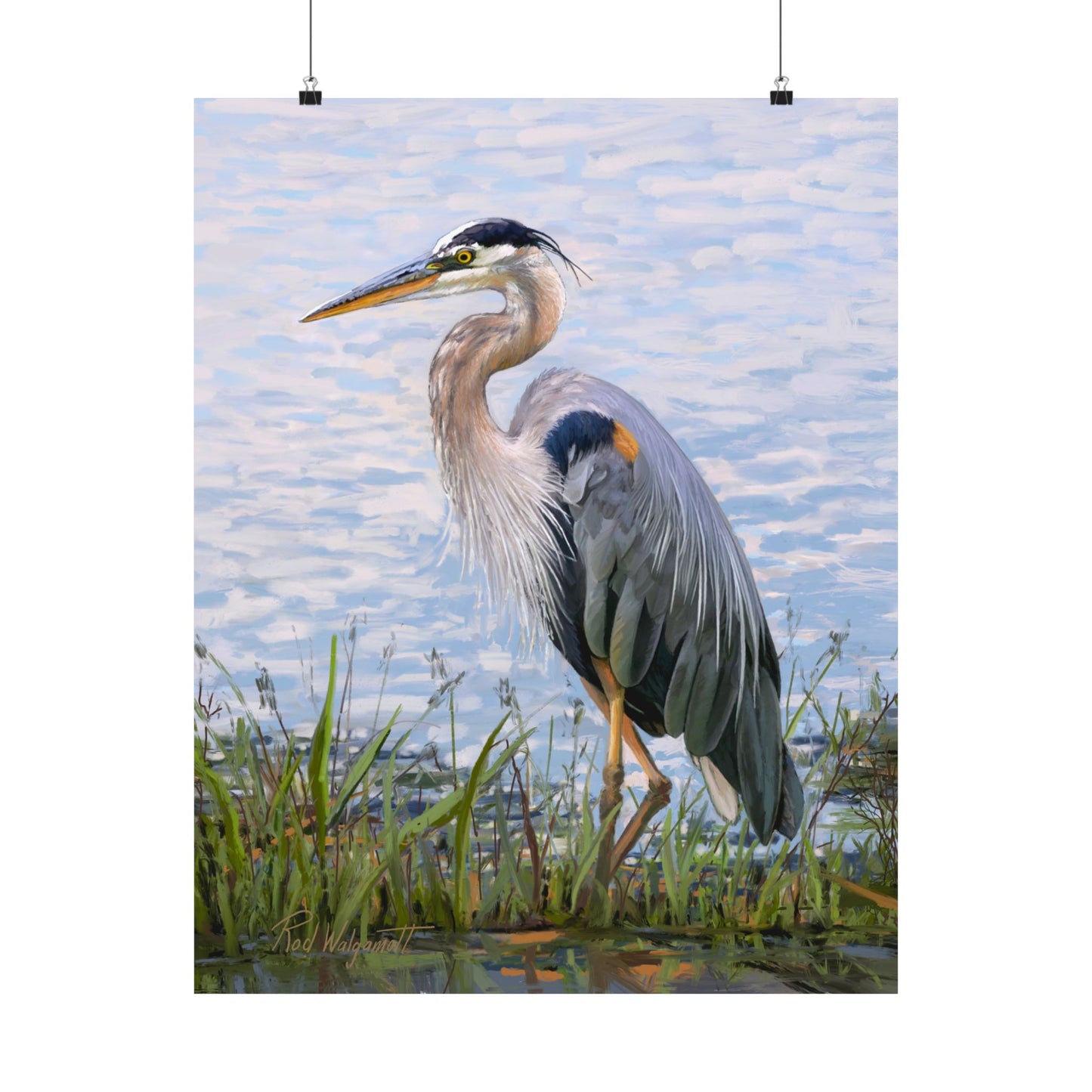 Premium Matte Print, Blue Heron at Stansbury Lake, by Rod Walgamott