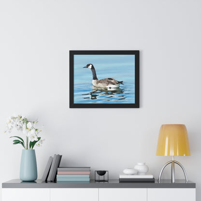 Framed Matte Print, Canada Goose on Stansbury Lake, by Rod  Walgamott