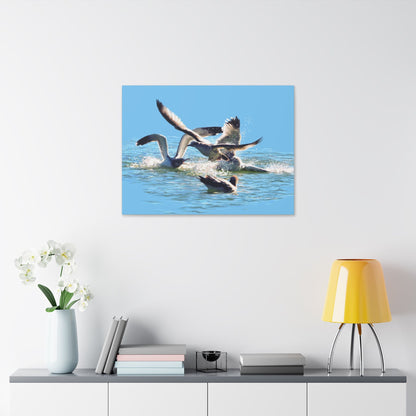 Classic Stretched Canvas, Gull Fight on Stansbury Lake, by Rod Walgamott