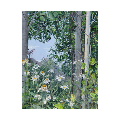 Quakies and Daisies by Jane Autry, Premium Matte Paper Print