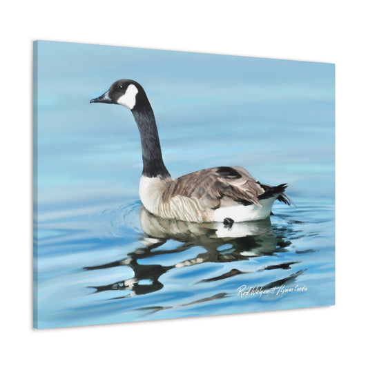 Canvas Gallery Wrap, Canada Goose on Stansbury Lake, by Rod Walgamott