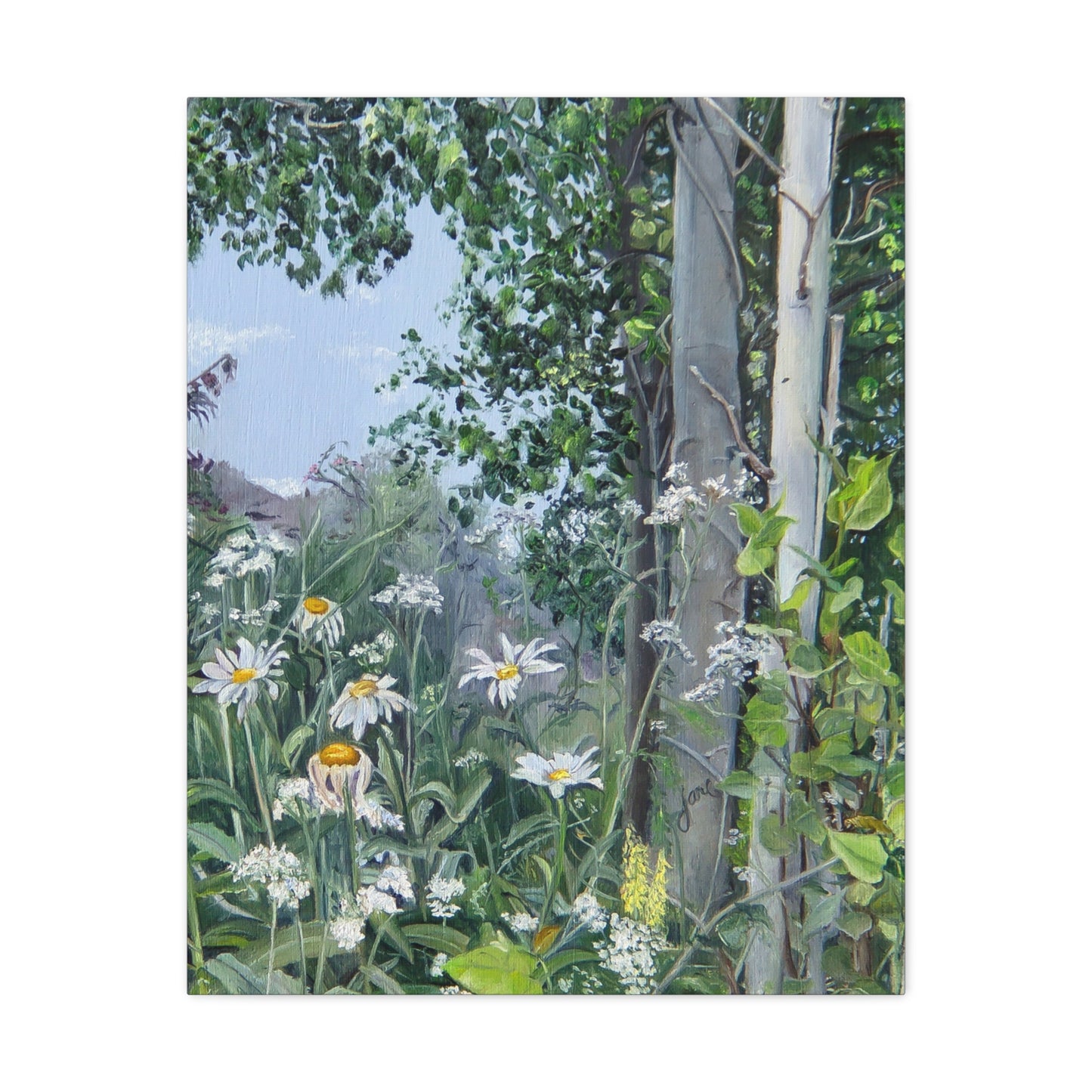 Quakies and Daisies by Jane Autry, Canvas Gallery Wrap