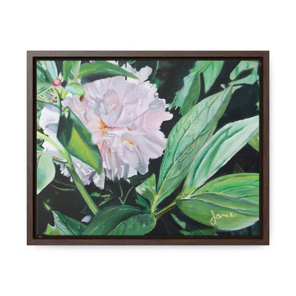 Stretched Canvas Wrap in Wood Frame, Shy Peone by Jane Autry