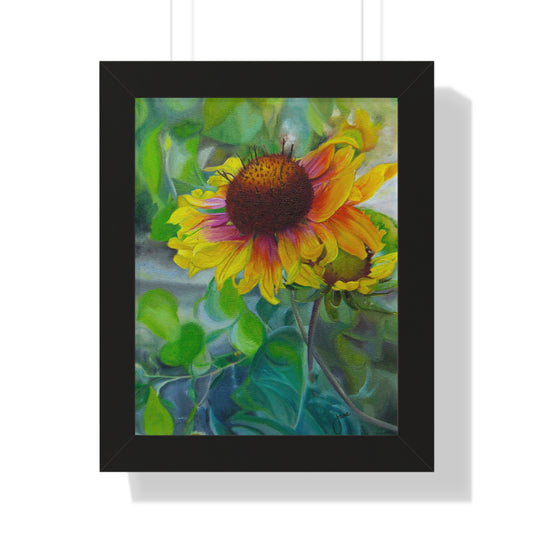 Indian Blanket Flower by Jane Autry, Framed Matte Paper Print