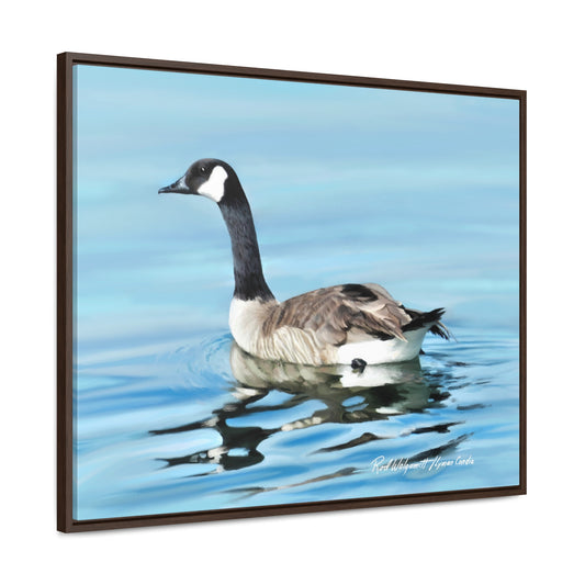 Stretched Canvas Print in Wood Frame, Canada Goose on Stansbury Lake , by  Rod Walgamott