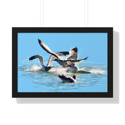 Framed Matte Print, Gull Fight on Stansbury Lake, by Rod Walgamott