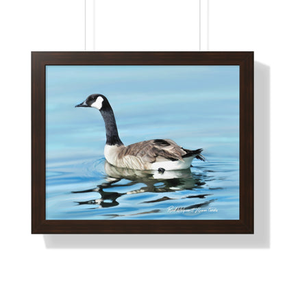 Framed Matte Print, Canada Goose on Stansbury Lake, by Rod  Walgamott