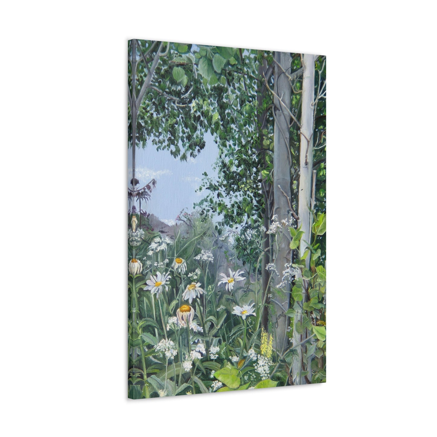 Quakies and Daisies by Jane Autry, Canvas Gallery Wrap