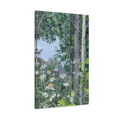 Quakies and Daisies by Jane Autry, Canvas Gallery Wrap