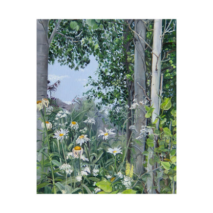 Quakies and Daisies by Jane Autry, Premium Matte Paper Print