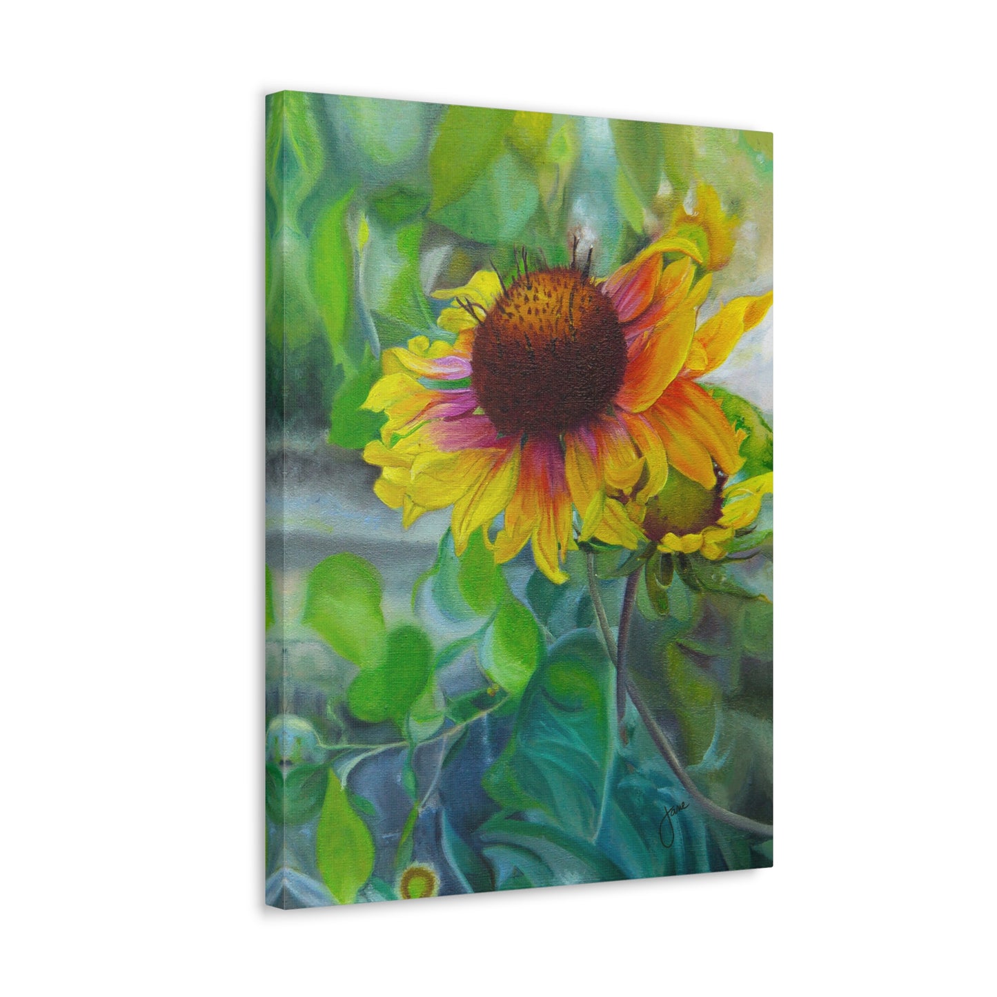 Indian Blanket Flower by Jane Autry, Canvas Gallery Wrap