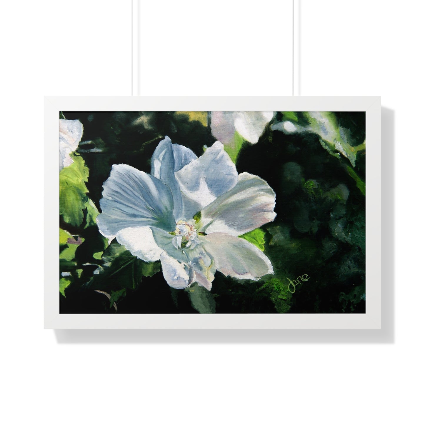 Premium Matte Print--Framed, White Rose of Sharon by Jane Autry