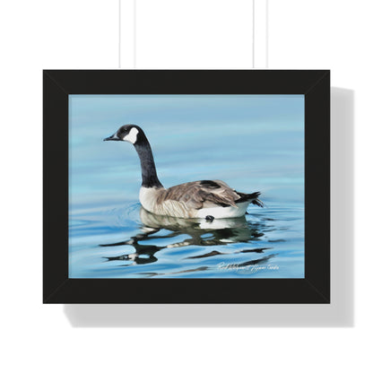 Framed Matte Print, Canada Goose on Stansbury Lake, by Rod  Walgamott