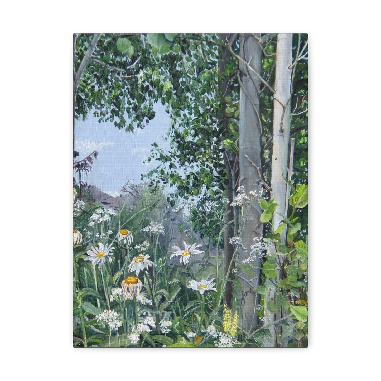 Quakies and Daisies by Jane Autry, Canvas Gallery Wrap