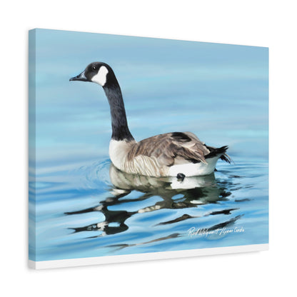 Canvas Gallery Wrap, Canada Goose on Stansbury Lake , by  Rod Walgamott