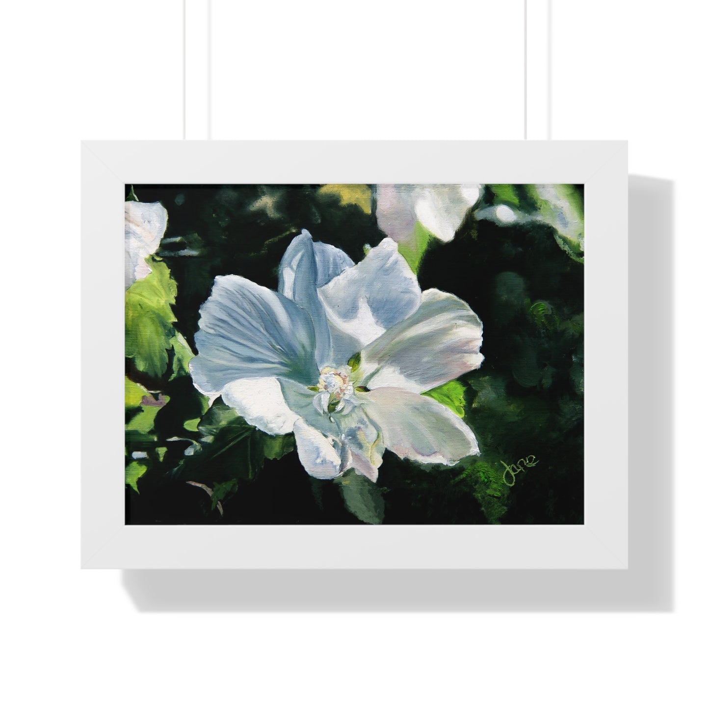 Premium Matte Print--Framed, White Rose of Sharon by Jane Autry