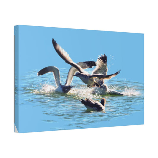 Classic Stretched Canvas, Gull Fight on Stansbury Lake, by Rod Walgamott