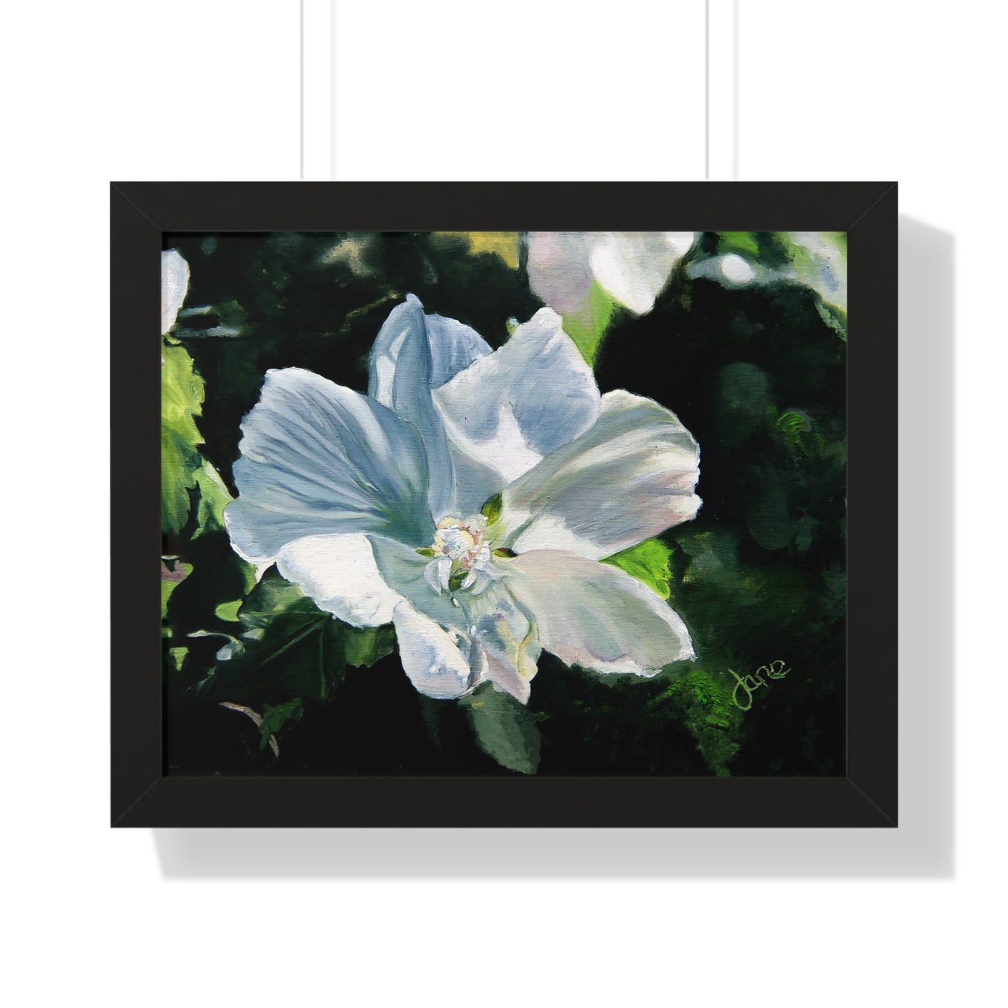 Premium Matte Print--Framed, White Rose of Sharon by Jane Autry