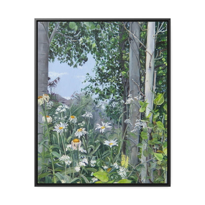 Quakies and Daisies by Jane Autry, Canvas Gallery Wrap