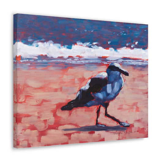 Canvas Gallery Wrap, Seagull, by Shellece Durfee