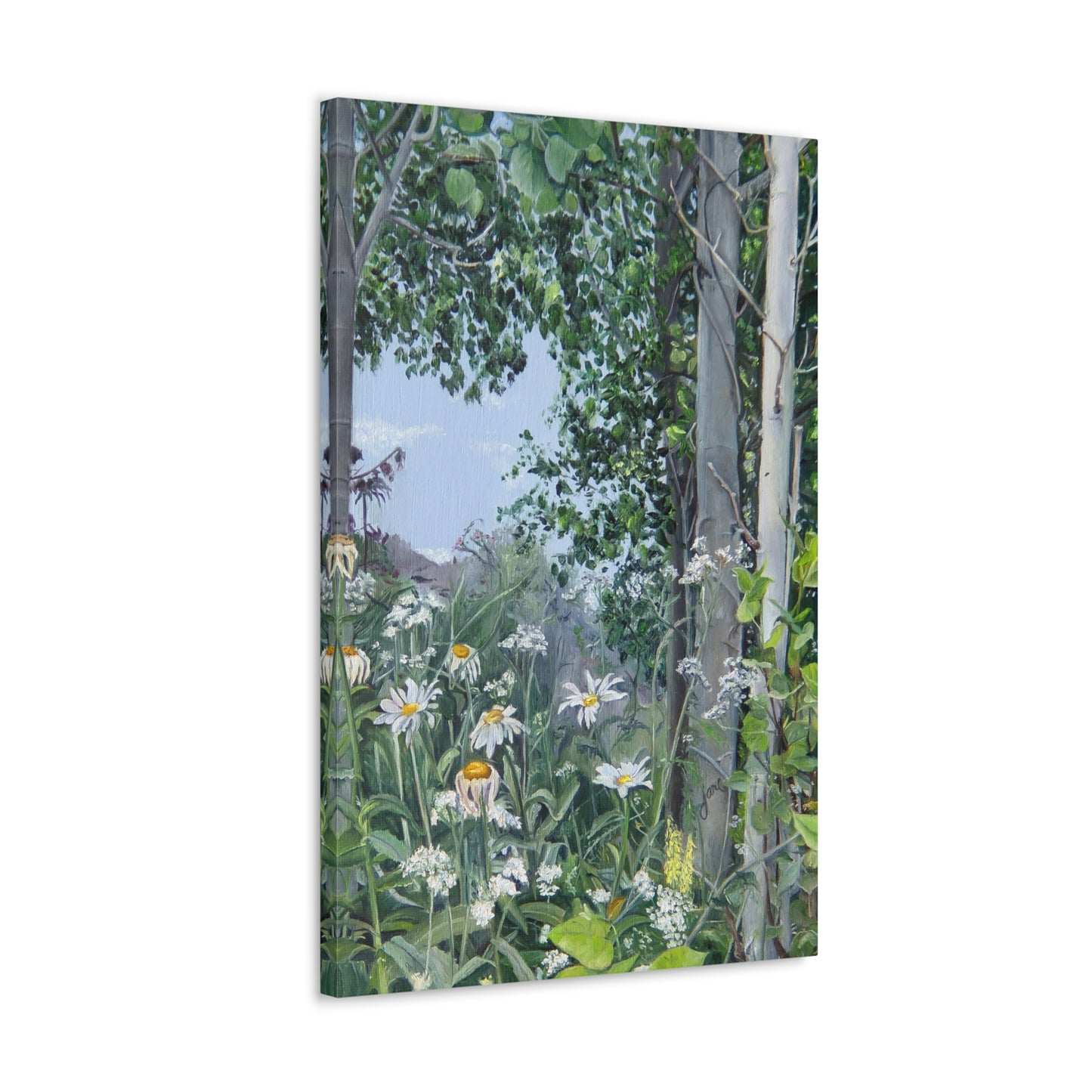 Quakies and Daisies by Jane Autry, Canvas Gallery Wrap